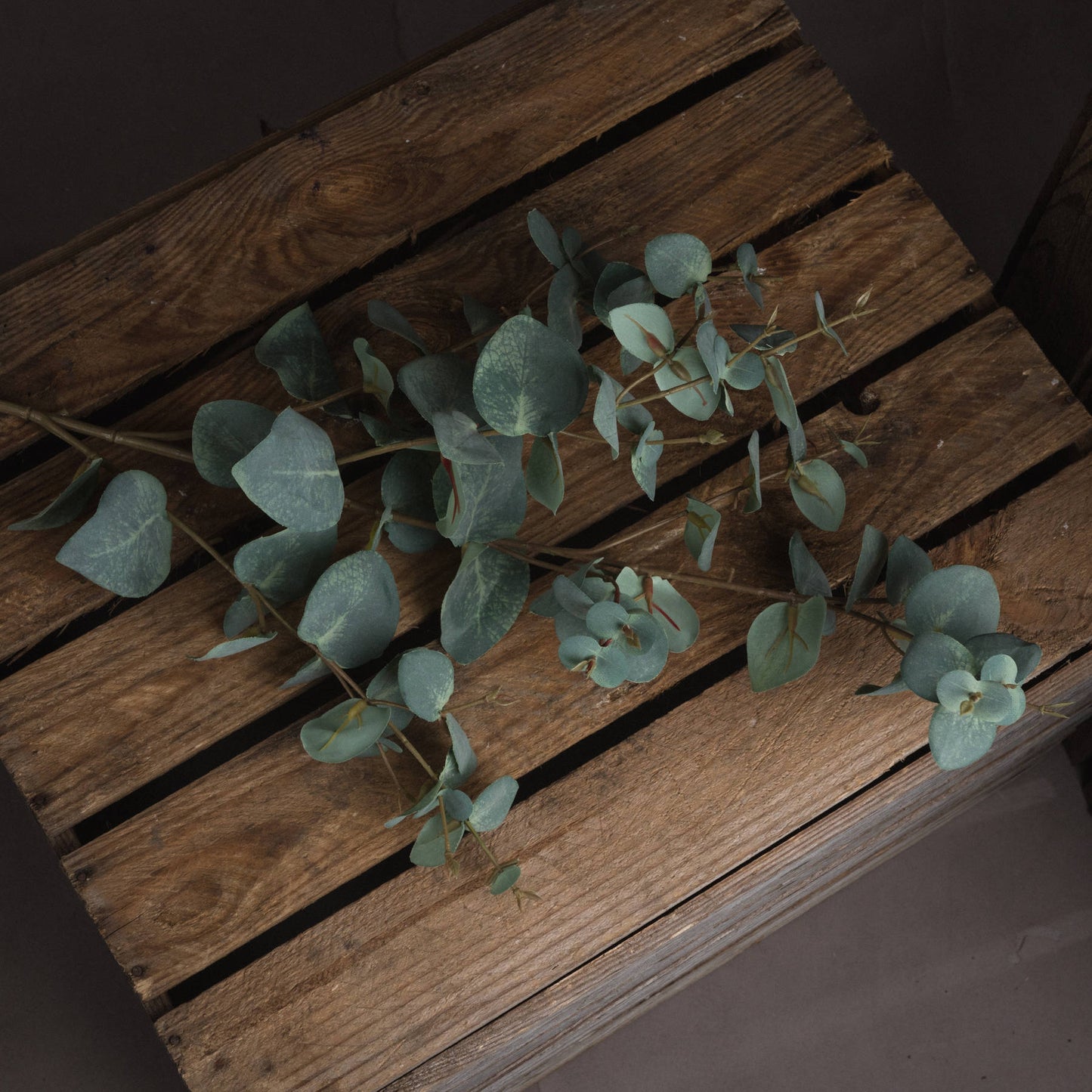 Realistic Variegated Eucalyptus Spray
