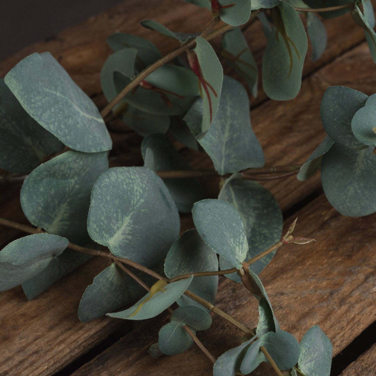 Realistic Variegated Eucalyptus Spray