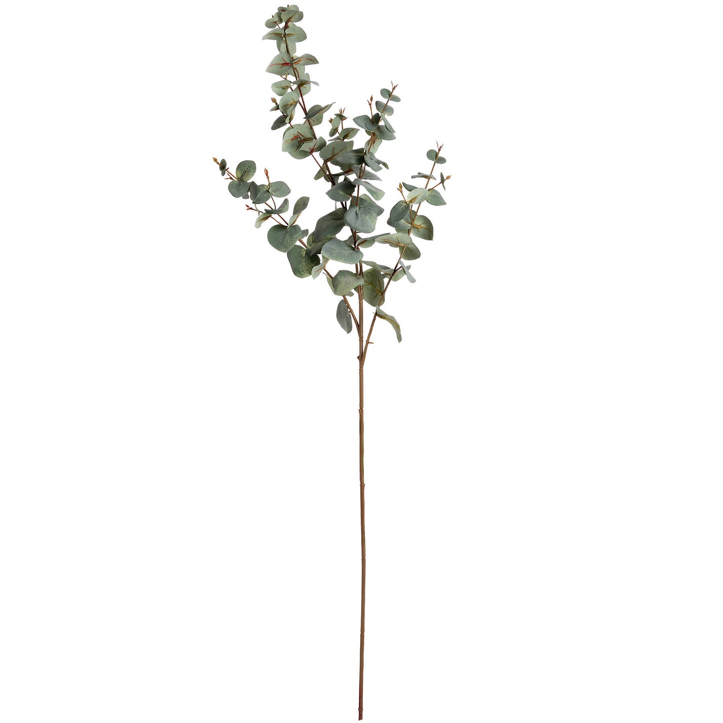 Realistic Variegated Eucalyptus Spray