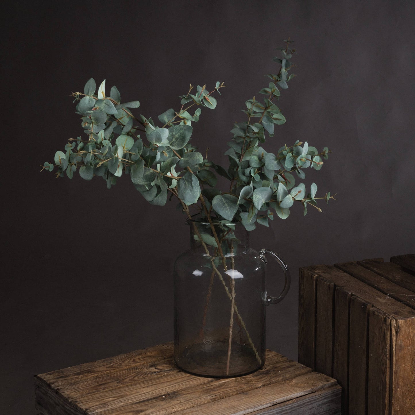 Realistic Variegated Eucalyptus Spray