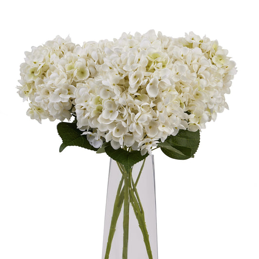 White Hydrangea Bouquet