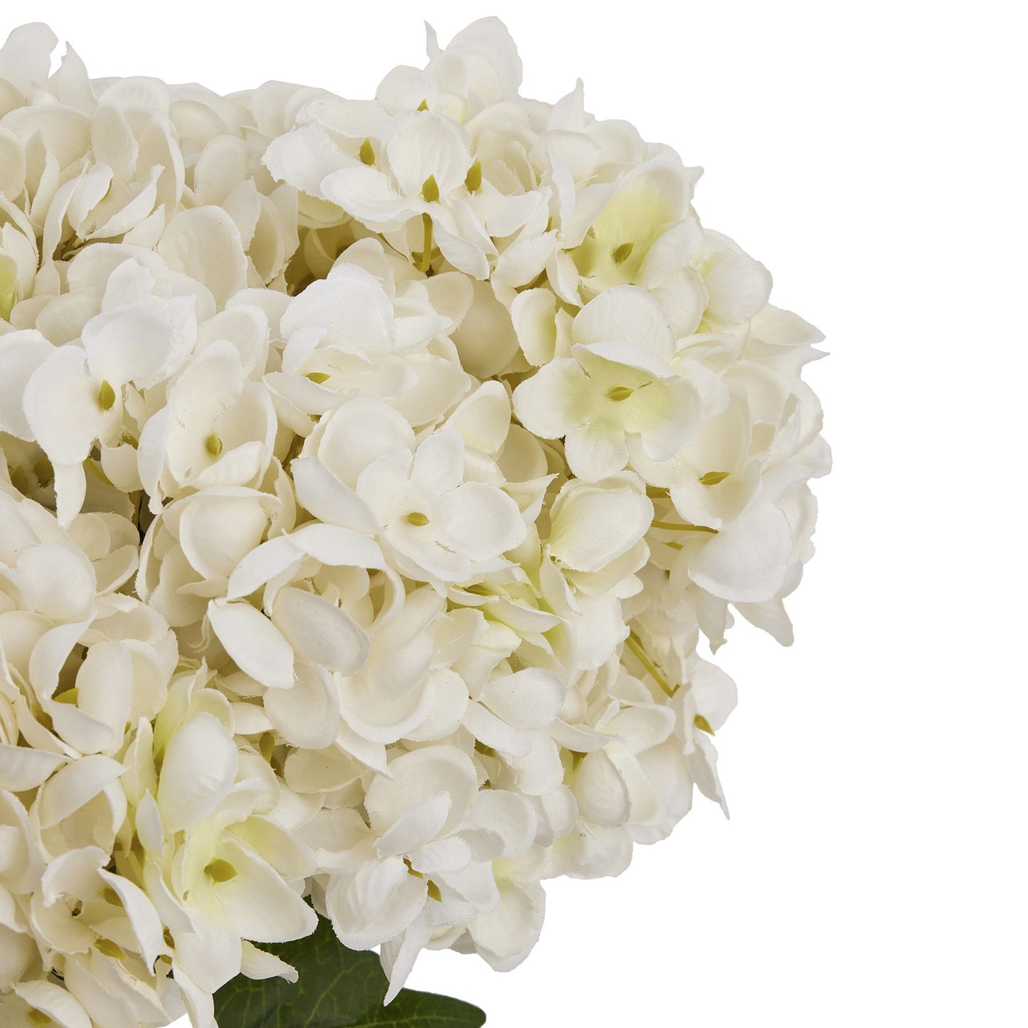 White Hydrangea Bouquet